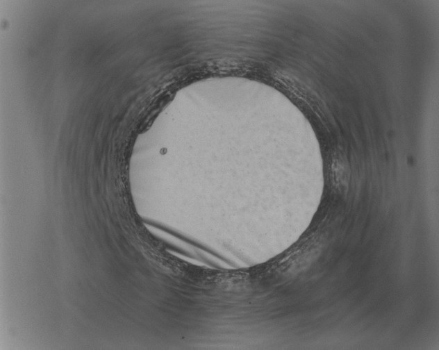 X0000077320865200611101456