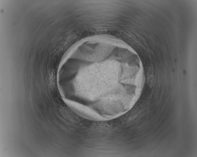 X0000077320866200611101456