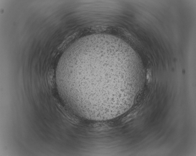 X0000077320867200611101455