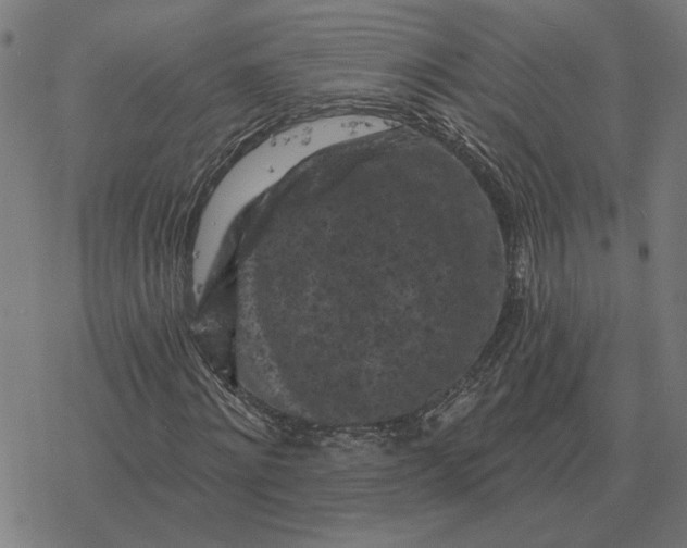 X0000077320868200611101455