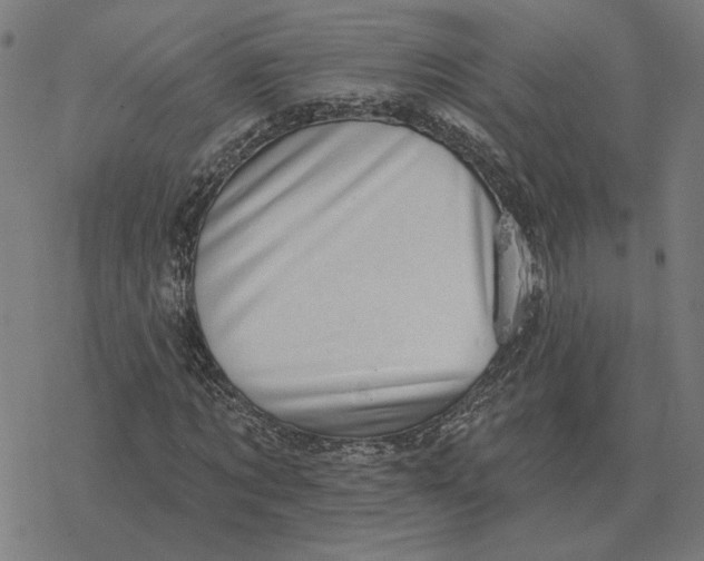 X0000077320869200611101455