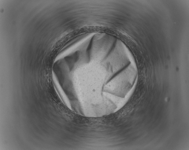 X0000077320870200611101455