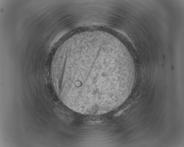 X0000077320871200611101455