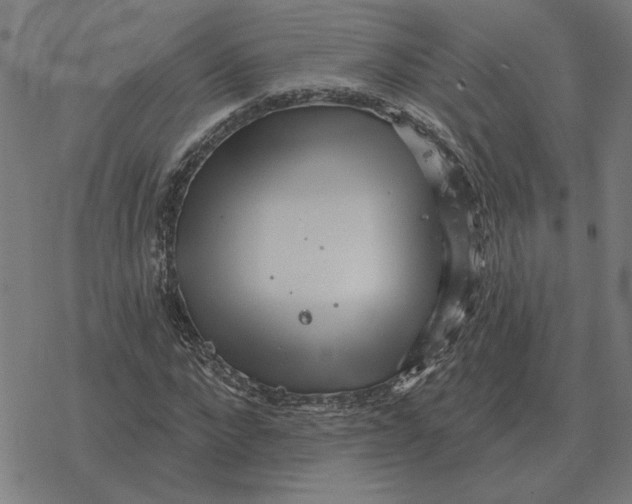 X0000077320872200611101455