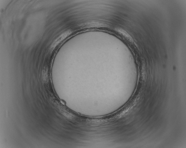 X0000077320873200611101455