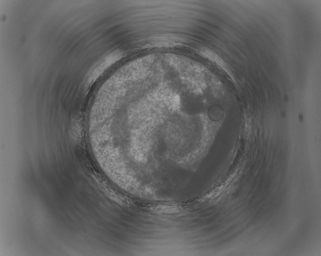 X0000077320874200611101455