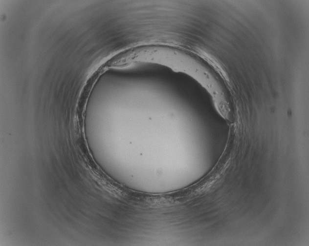 X0000077320876200611101455