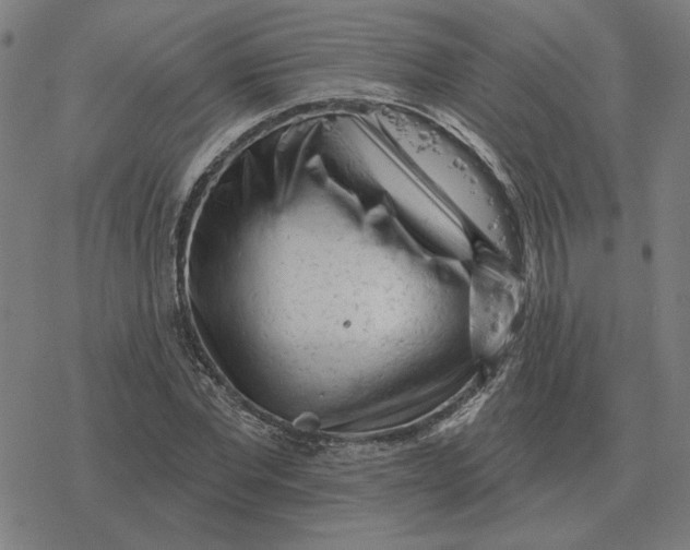 X0000077320877200611101455