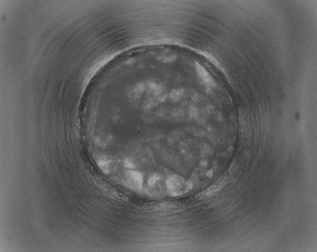 X0000077320879200611101455