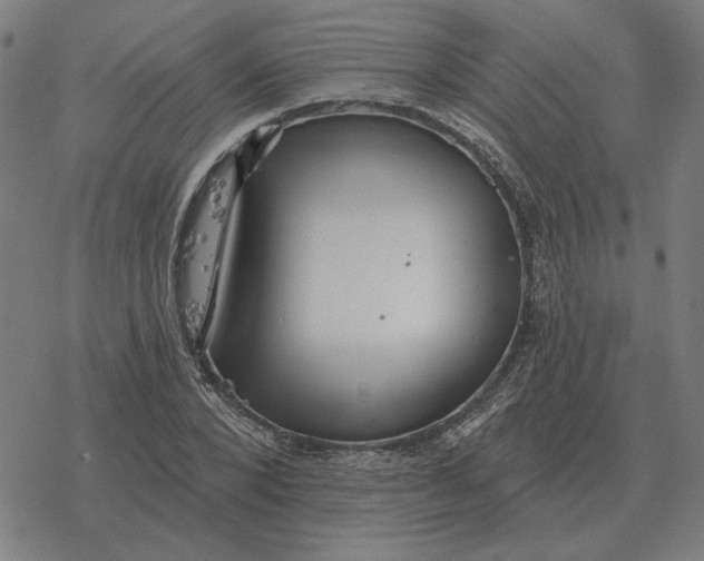 X0000077320880200611101455