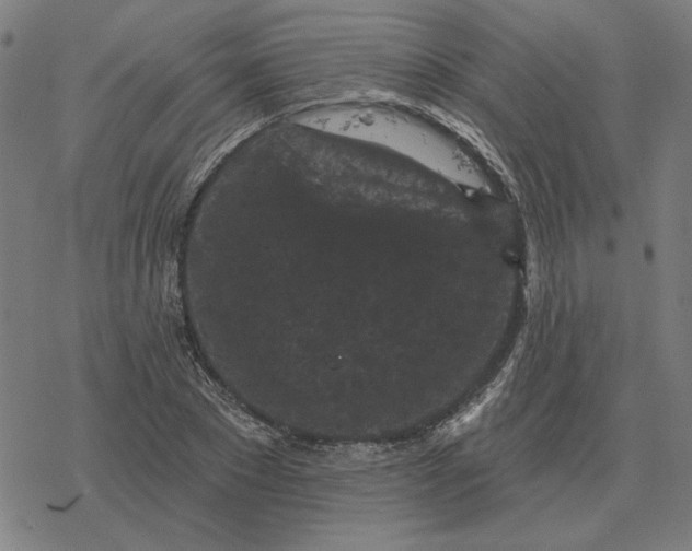 X0000077320881200611101455