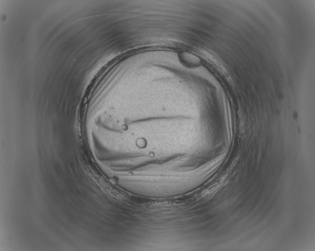 X0000077320883200611101455