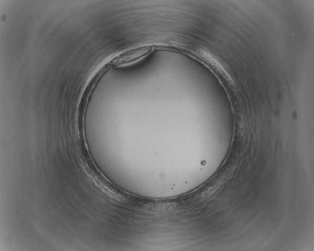 X0000077320884200611101455