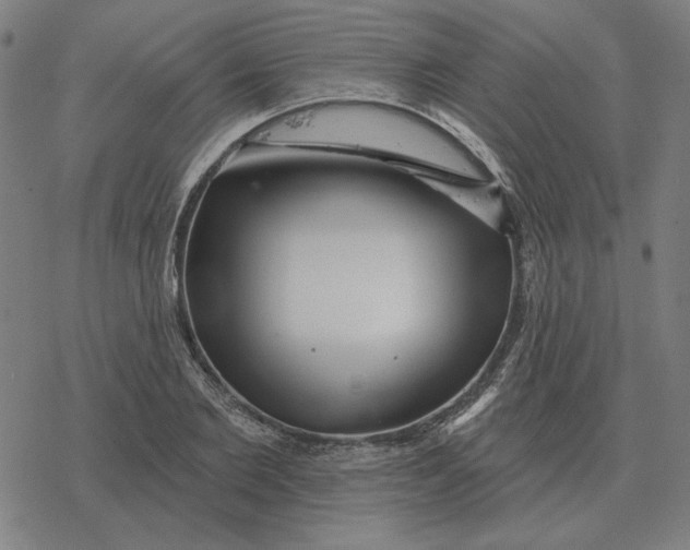 X0000077320885200611101455