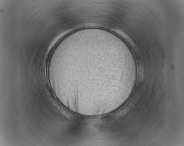 X0000077320886200611101455