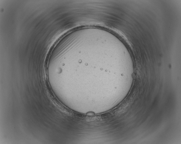 X0000077320887200611101455