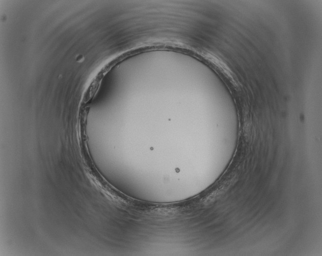 X0000077320888200611101455