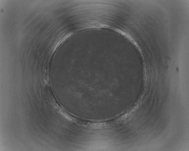 X0000077320889200611101455