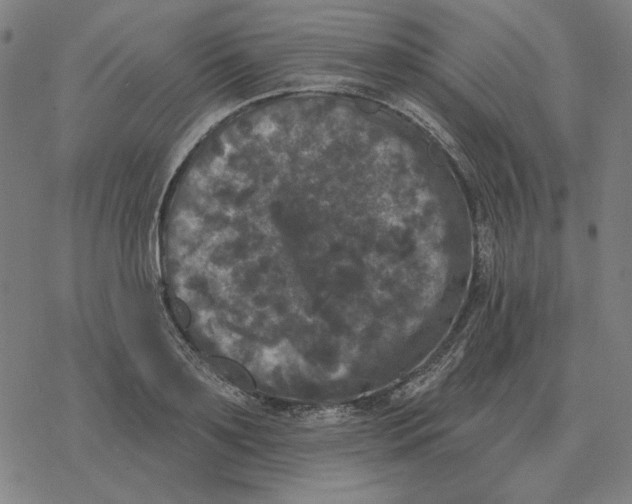 X0000077320891200611101455