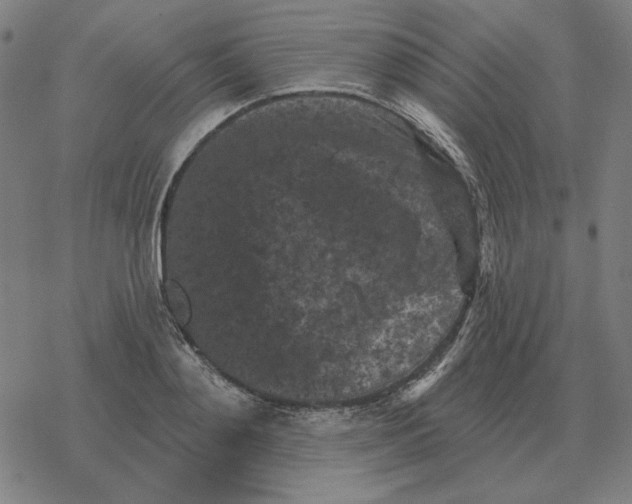 X0000077320892200611101455