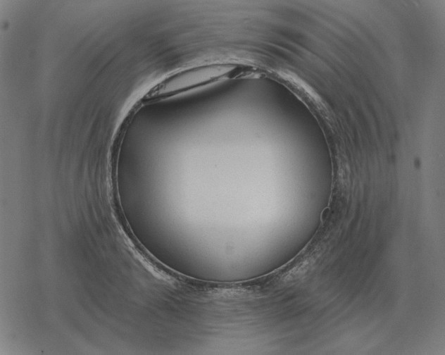 X0000077320894200611101455