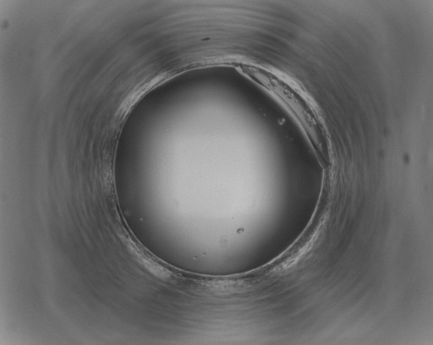 X0000077320897200611101455