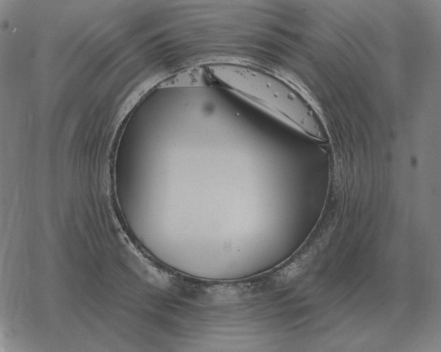 X0000077320898200611101455