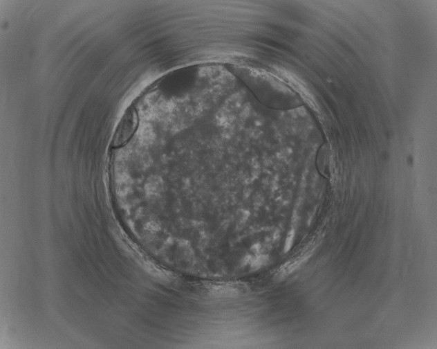 X0000077320899200611101455