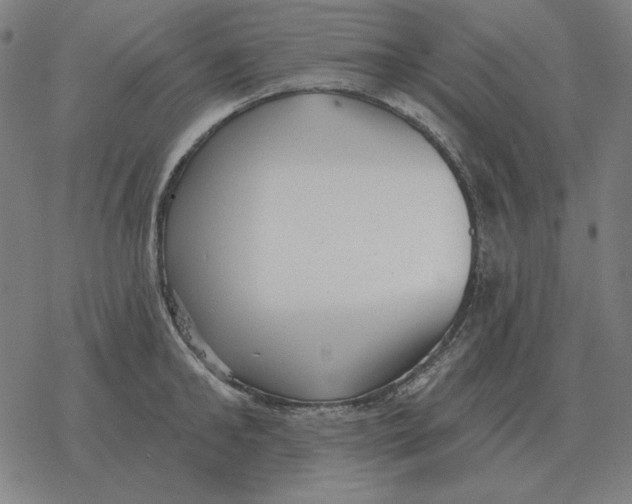 X0000077320902200611101455