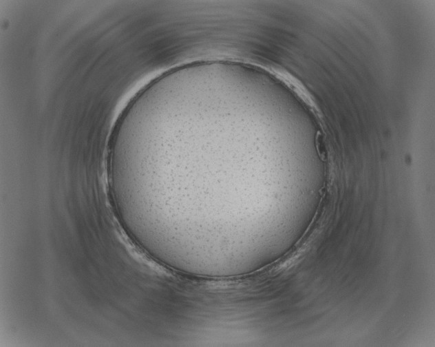 X0000077320904200611101455