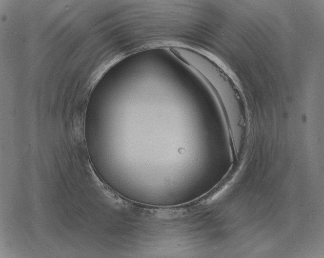 X0000077320905200611101455