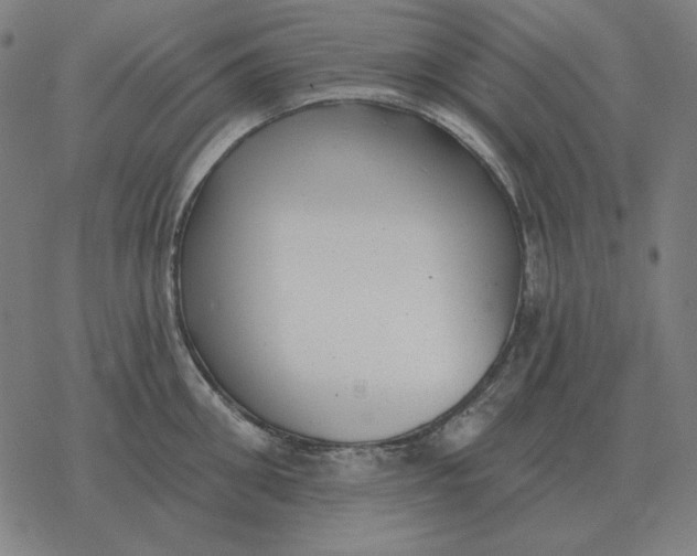 X0000077320906200611101455