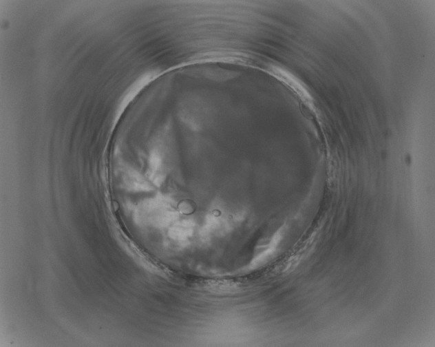 X0000077320907200611101455