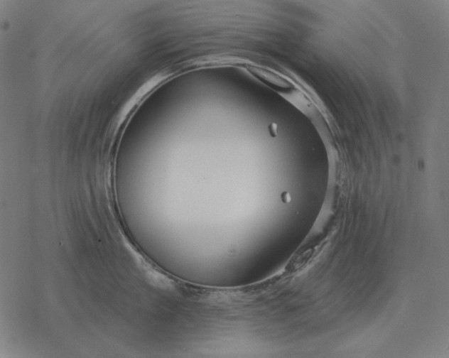 X0000077320909200611101455