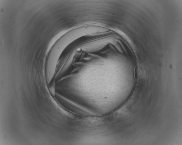 X0000077320910200611101455