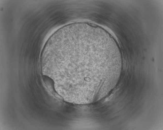 X0000077320911200611101455