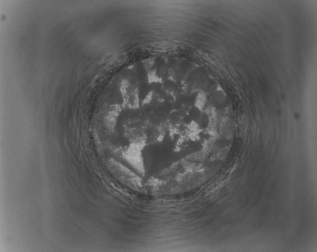 X0000077320913200611101454