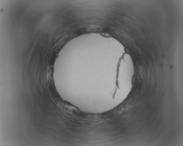 X0000077320914200611101454