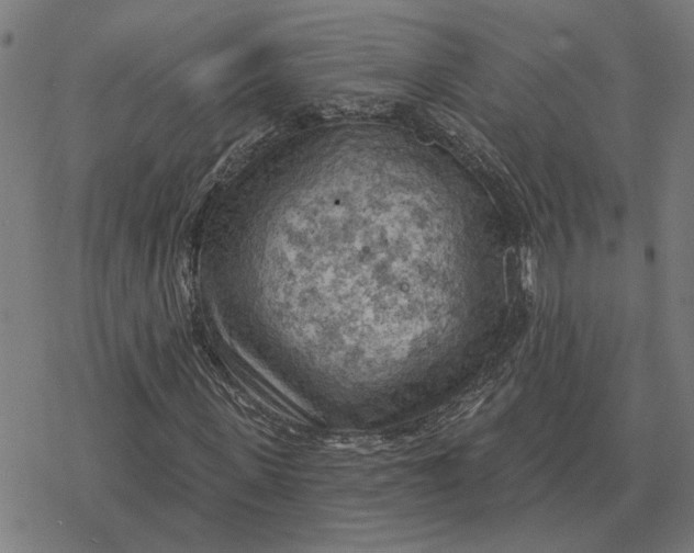 X0000077320915200611101454