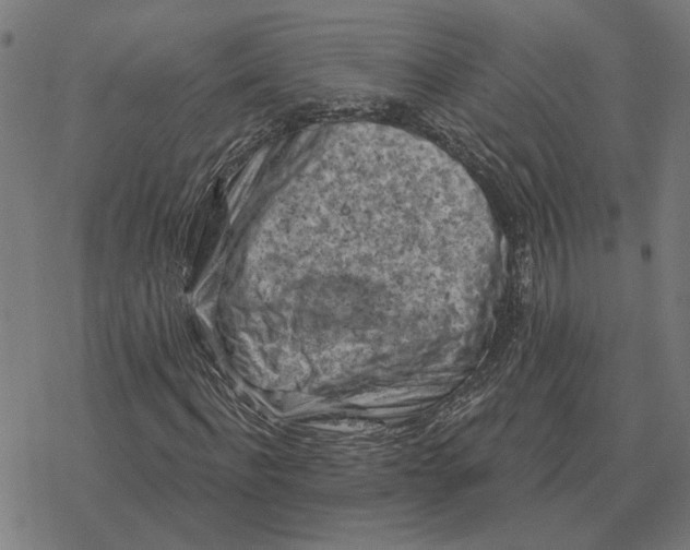 X0000077320916200611101454