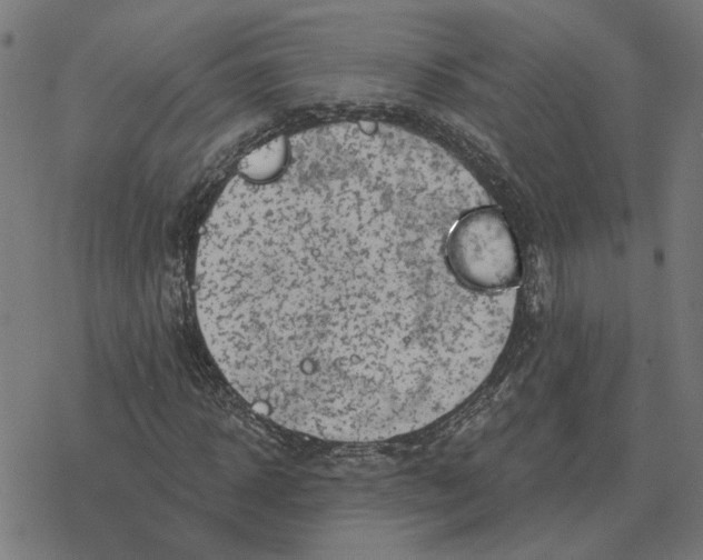 X0000077320918200611101454