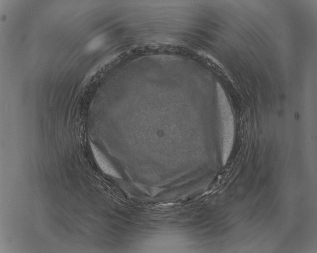 X0000077320919200611101454