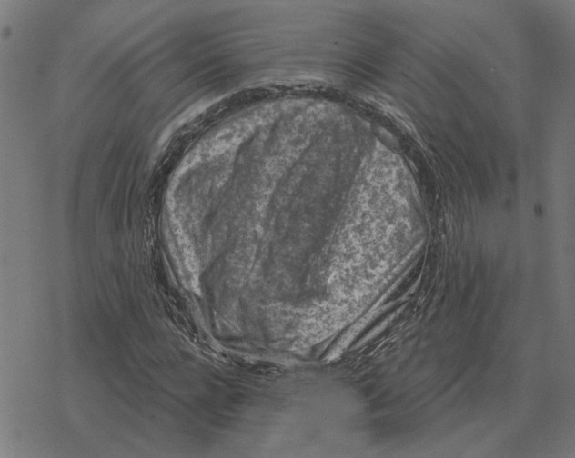 X0000077320920200611101454