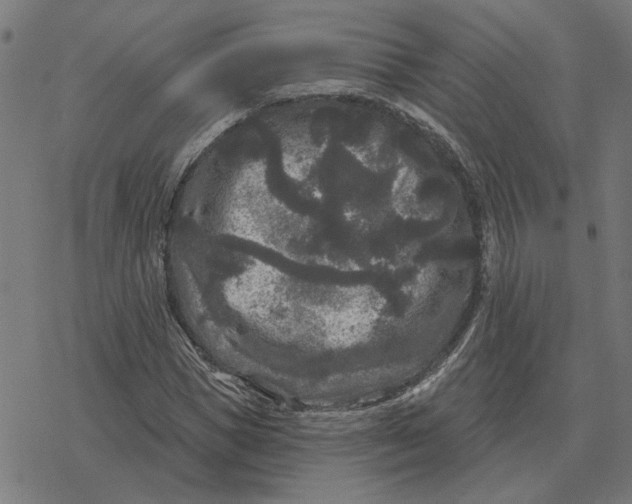 X0000077320921200611101454