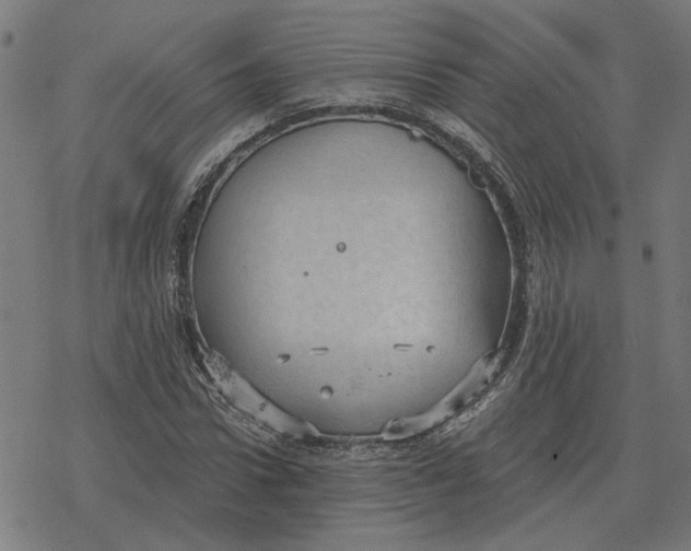 X0000077320922200611101454