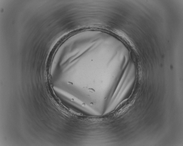 X0000077320924200611101454