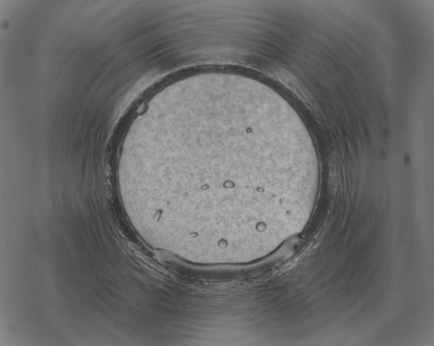 X0000077320926200611101454