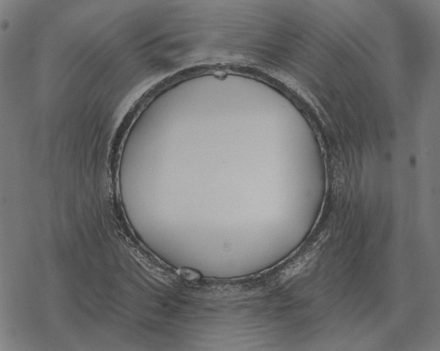 X0000077320927200611101454