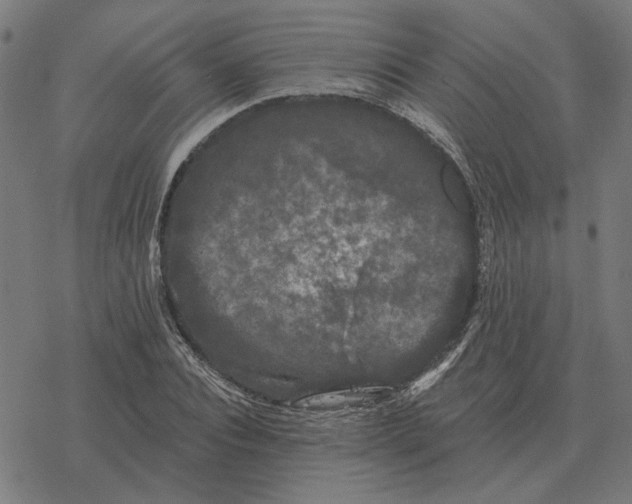 X0000077320928200611101454