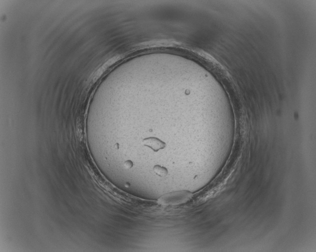 X0000077320929200611101454